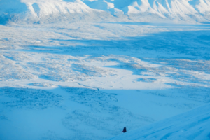 123Untitled design123